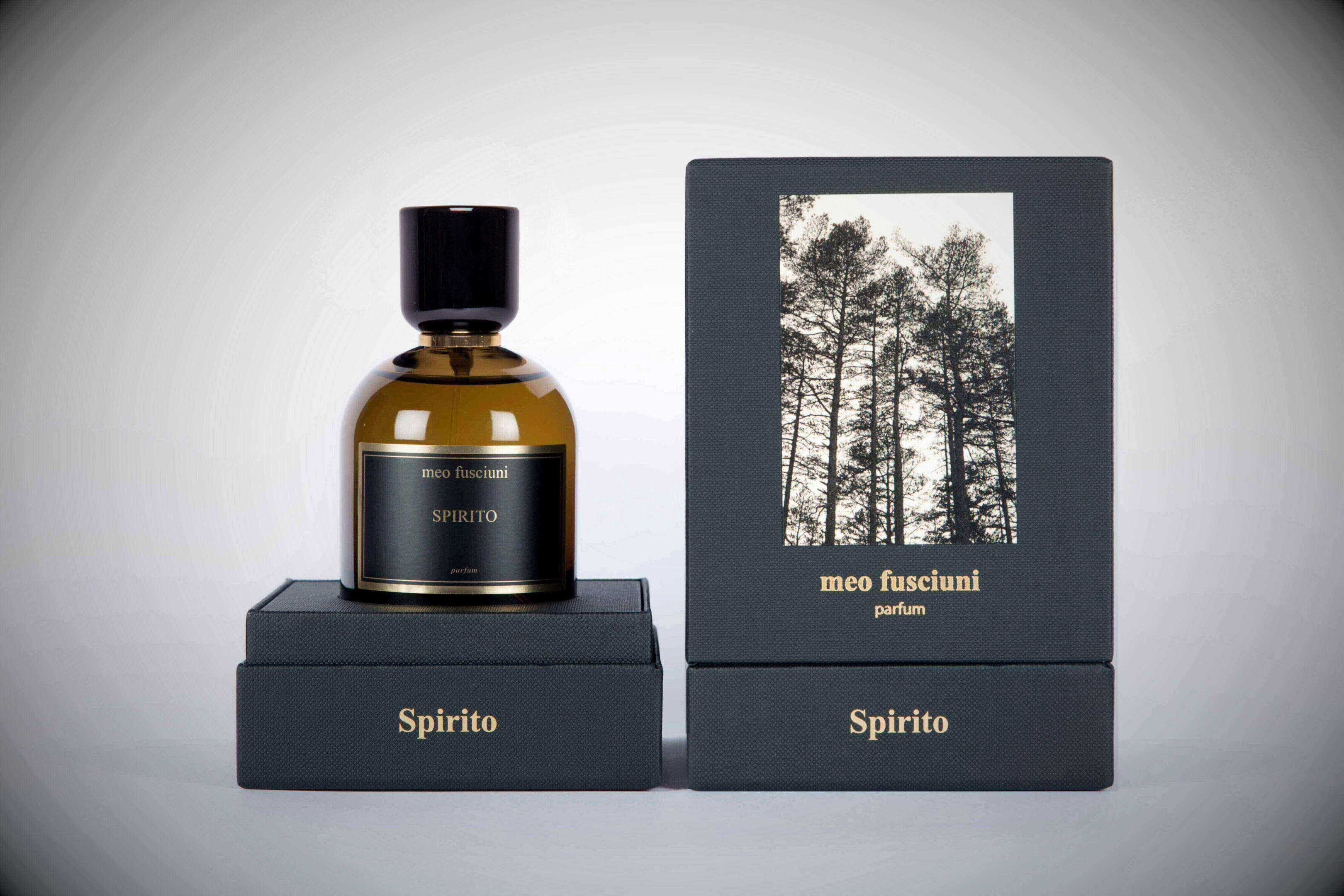 Miniatura Spirito - Meo Fusciuni