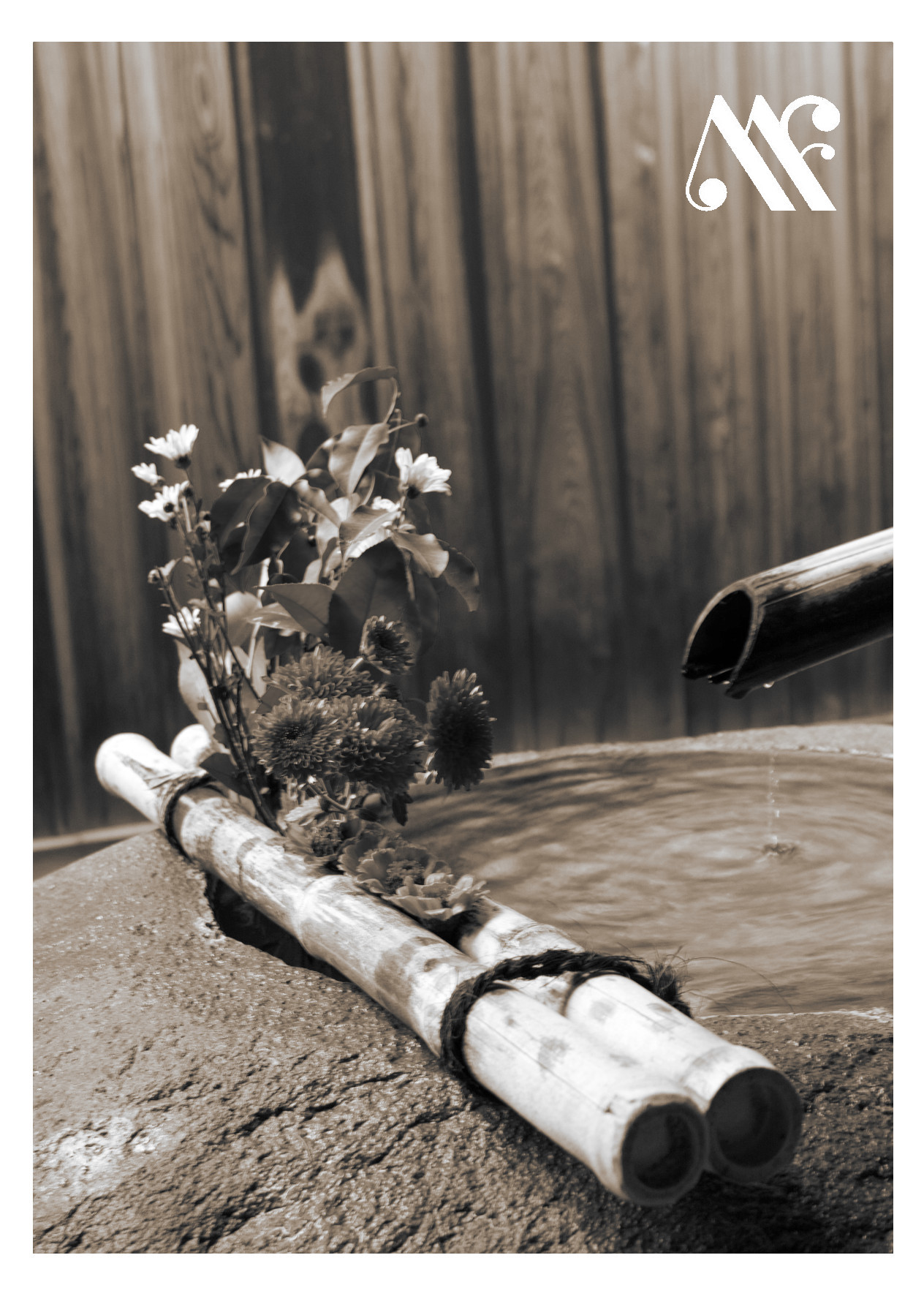 Miniatura Sogni - Meo Fusciuni