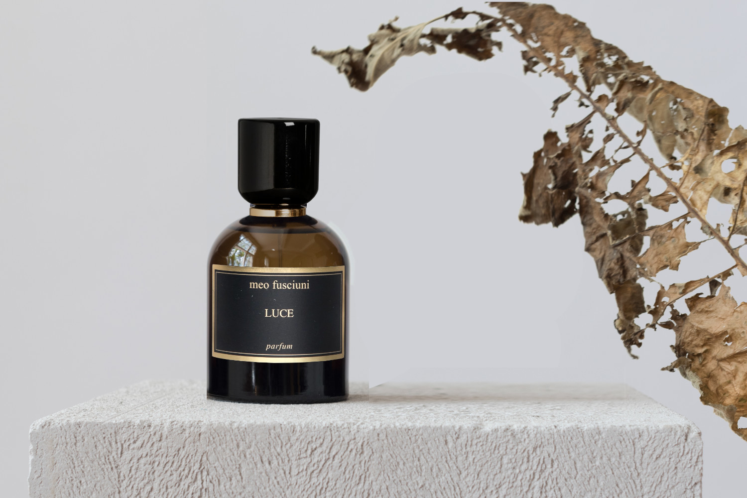 Miniatura Luce - Meo Fusciuni