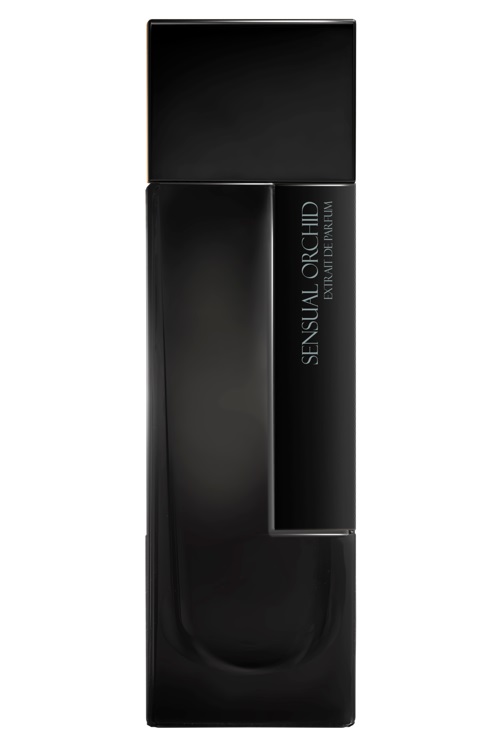 Sensual Orchid